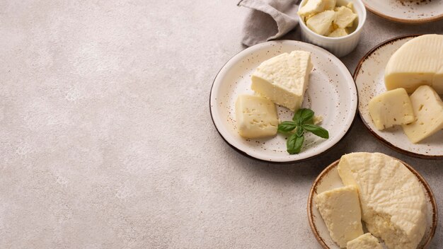 Traditional paneer cheese assortment