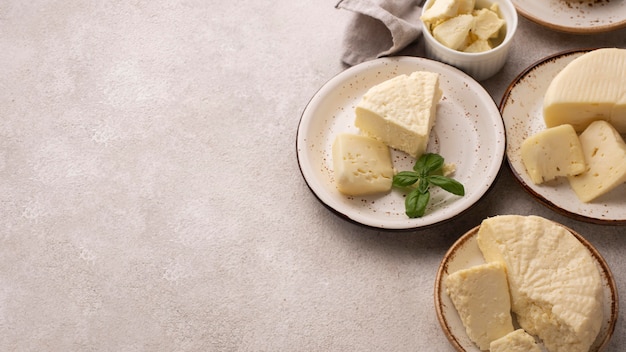 伝統的なパニールチーズの品揃え