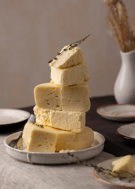 Traditional paneer cheese assortment