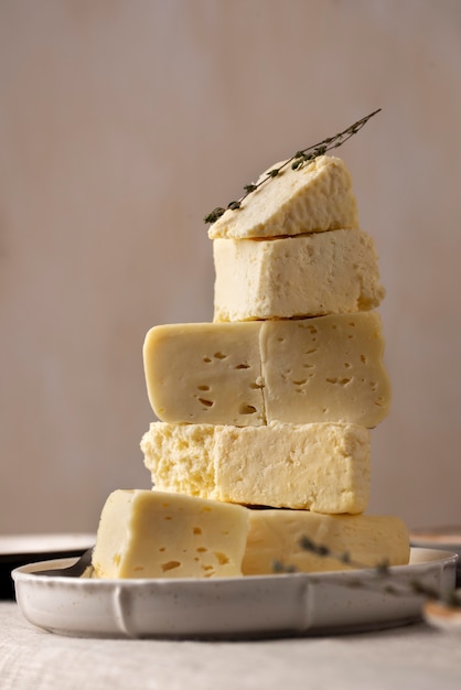 Traditional paneer cheese assortment