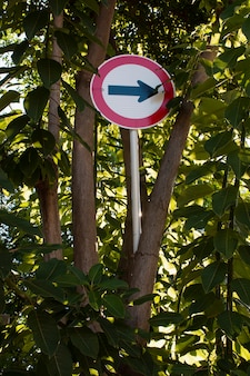 Traffic arrow sign in the forest