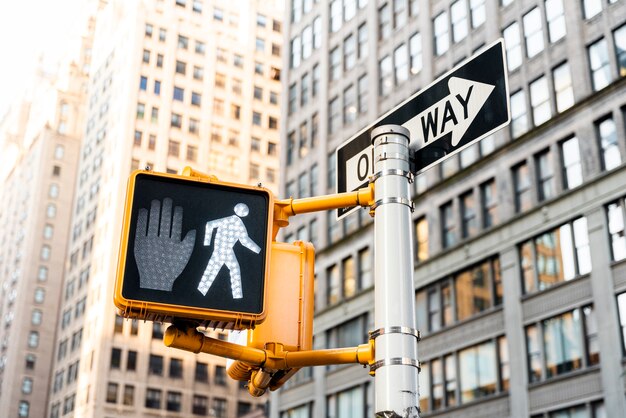 Traffic light and buildings in the city