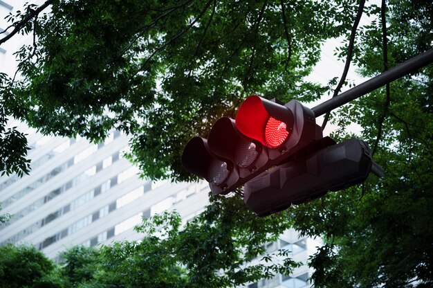 Traffic light for city streets