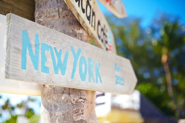緑の熱帯の風景にニューヨークを含む交通標識