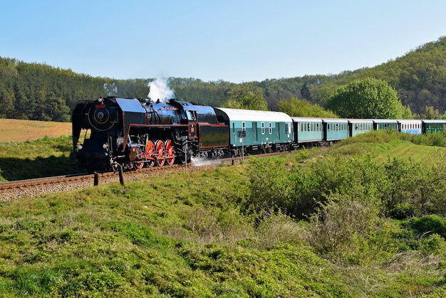 "Train in green valley in summertime"