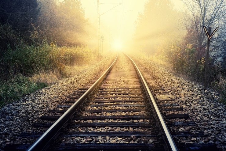 Free Photo train rail between green trees during daytime