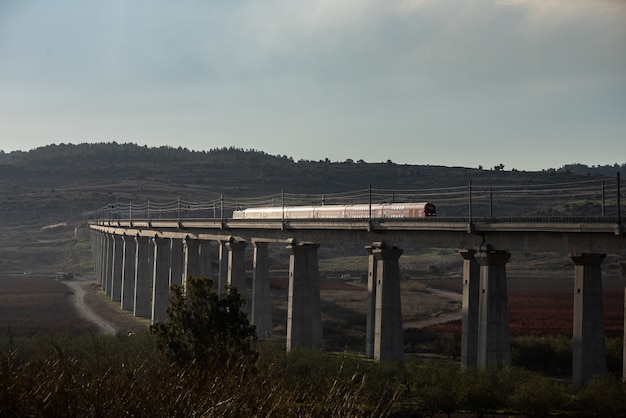 Train on a railway surrounded by greenery under a blue cloudy sky during the evening