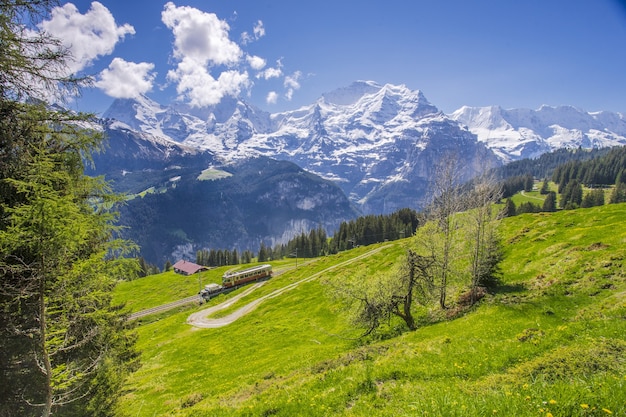 The train runs through a beautiful landscape in the Swiss Alps