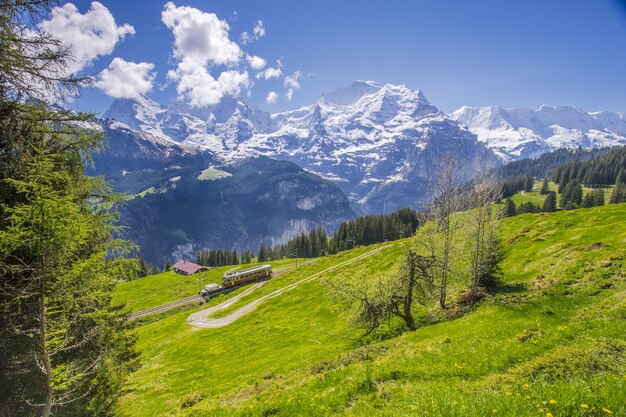 Поезд проходит по красивому ландшафту швейцарских Альп.