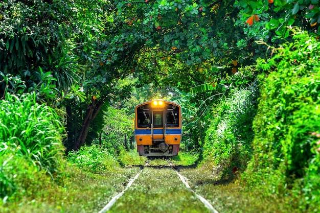 Поезд через туннель из деревьев в Бангкоке, Таиланд.