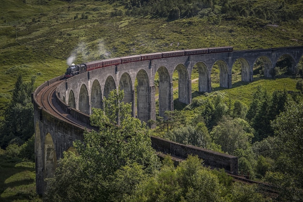 Free photo train on the way on a bridge