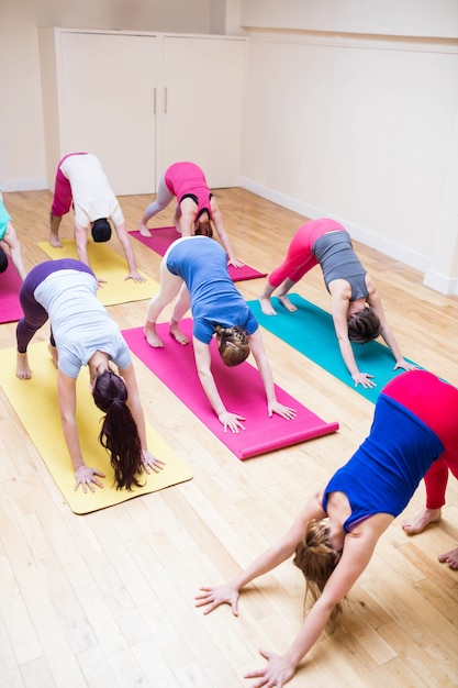 Trainer assisting group of people with downward dog yoga exercis