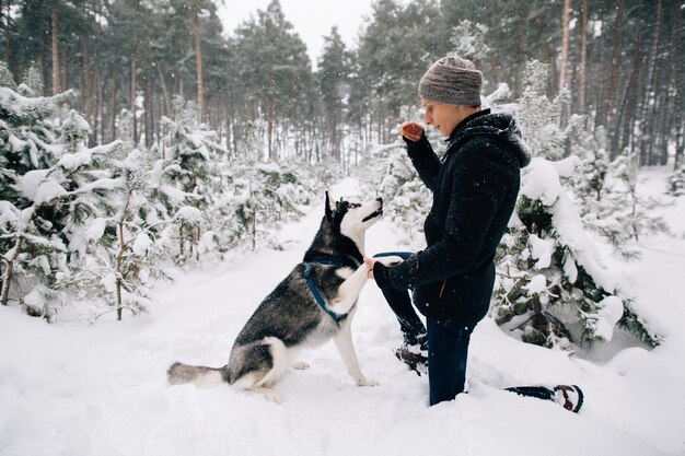 トレーニングドッグ。寒い冬の日に雪の多い冬の森でハスキー犬を訓練する男