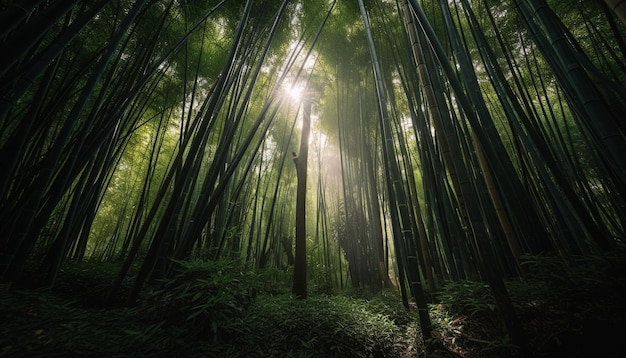 AI가 생성한 고요한 대나무 숲 여름 성장 활기찬 아름다움