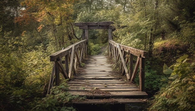 Free photo tranquil footbridge crosses wet ravine in autumn generated by ai