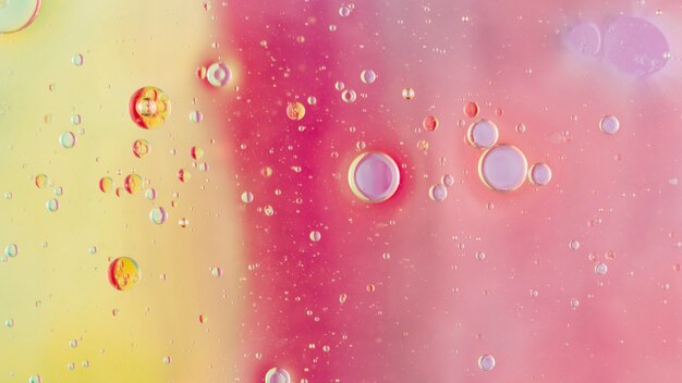 Transparent bubbles over the pink background