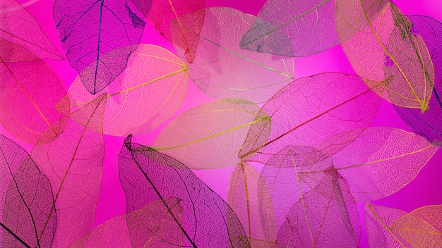 Free photo transparent leaves with pink light top view