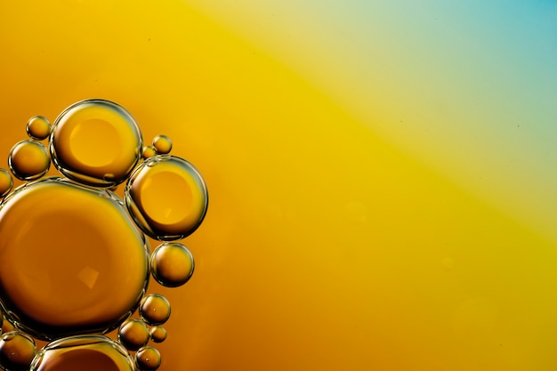 Transparent oily bubbles on vibrant copy space watery background