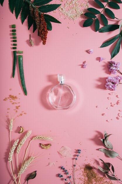 Transparent perfume bottle in flowers on pink wall. Spring wall with aroma perfume. Flat lay