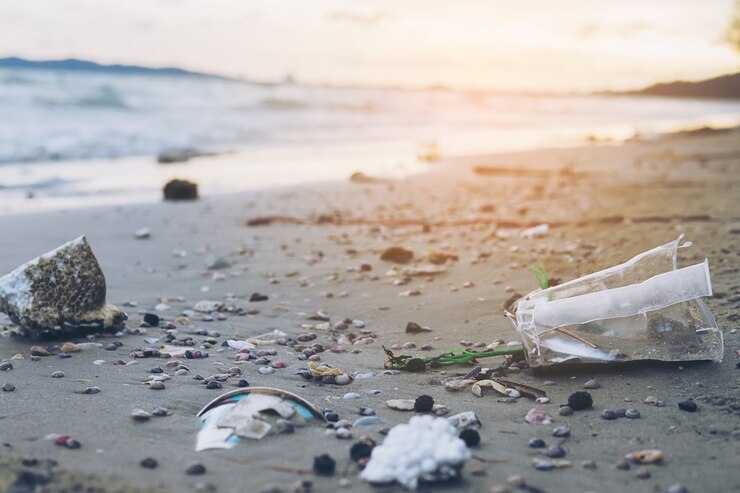 Free Photo trash on sand beach showing environmental pollution problem