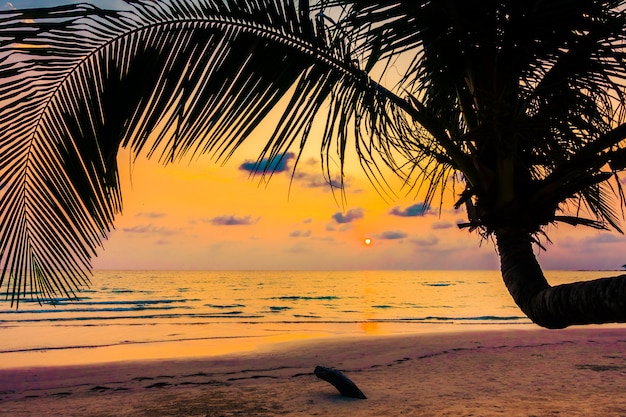 Travel Sea Tropical Island Coconut – Free Download Stock Photo