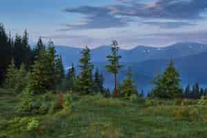 Бесплатное фото Путешествие, треккинг. летний пейзаж - горы, зеленая трава, деревья и голубое небо.