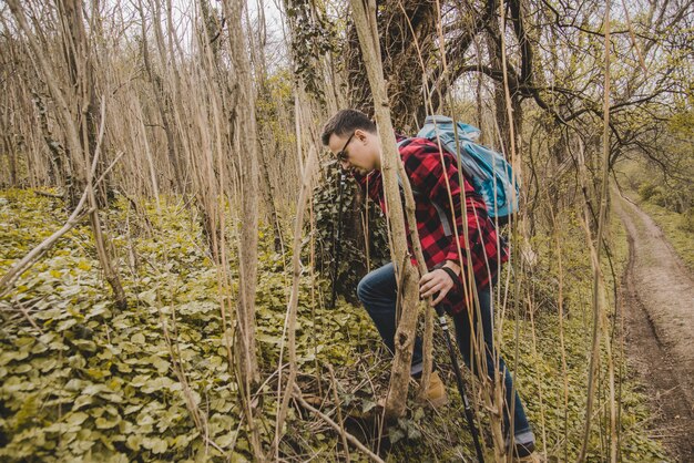 Traveler walking in the forest