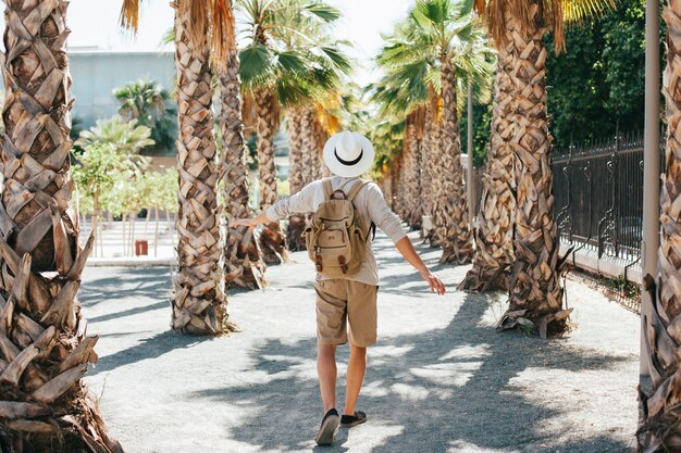 Traveler walking through palm trees