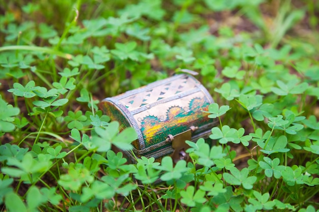 Free photo treasure chest in  clover plant