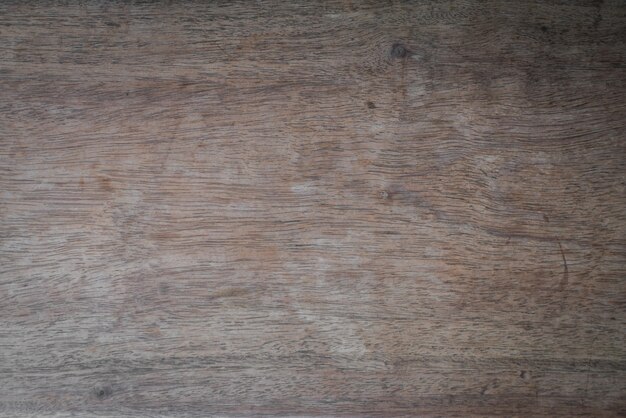 Free photo tree age marks on a table