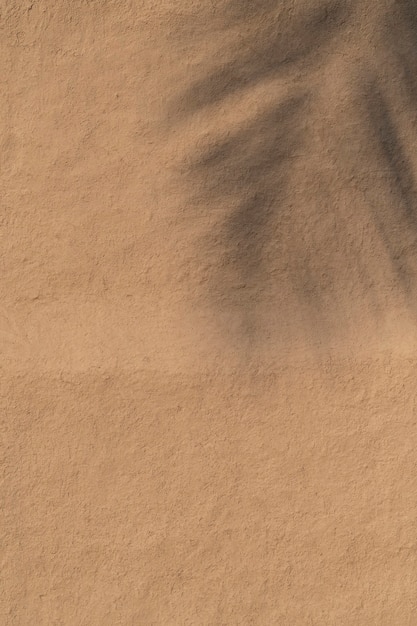 Free photo tree branch shadow on a grunge wall