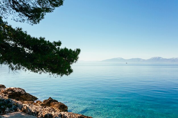 Tree branches over the blue idyllic lake