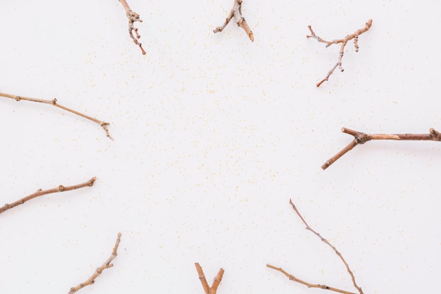 Tree branches on table