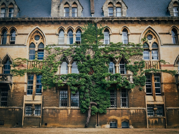 オックスフォードにあるクライストチャーチカレッジの建物の壁に生えている木。