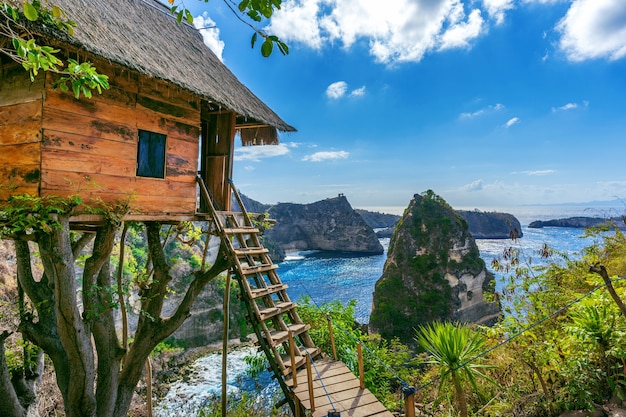 Дом на дереве и алмазный пляж на острове Нуса пенида, Бали в Индонезии