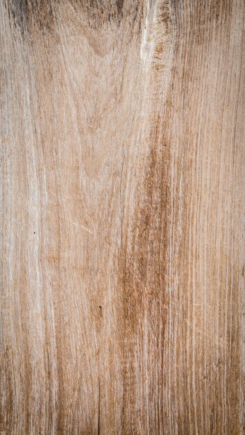 Tree knot on a vertical wooden board