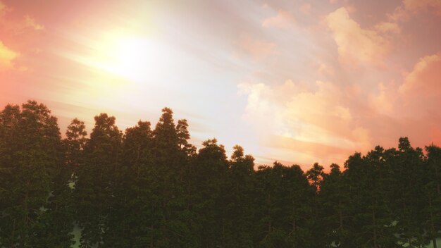 Пейзаж с деревом на фоне закатного неба