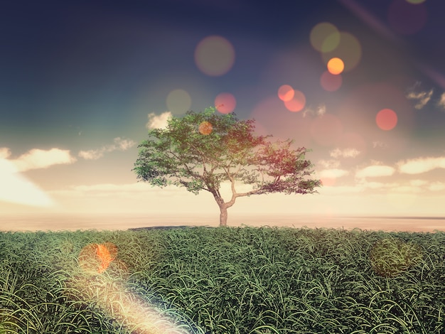 Tree in the middle of a field