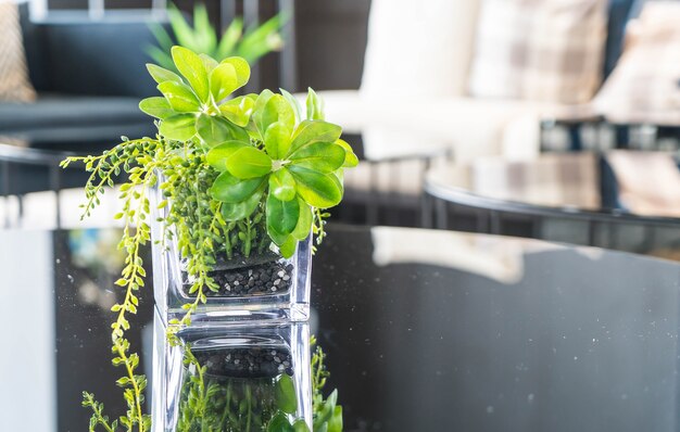 Foto gratuita albero in vaso decorazione sul tavolo