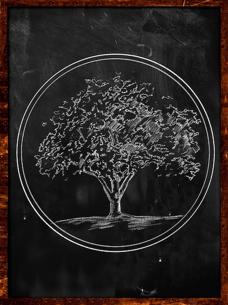 Tree Symbol Sketch on Blackboard