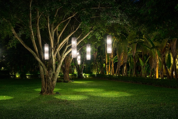 Free photo tree with lamp lighting