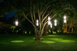 Foto gratuita albero con illuminazione della lampada