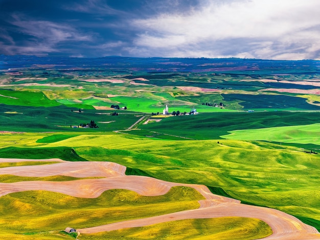 a treeless agricultural area of Palouse in southeastern Washington