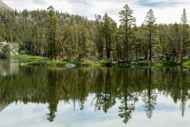 カリフォルニア州ビッグパインレイクスに映る森の木