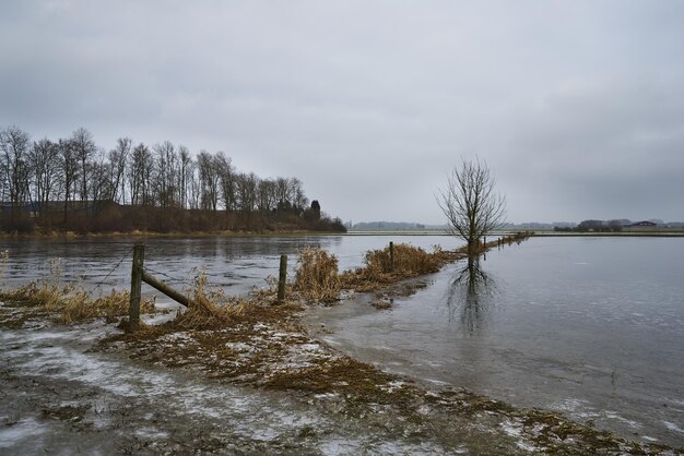 Деревья, растущие возле озера и отражающиеся в воде