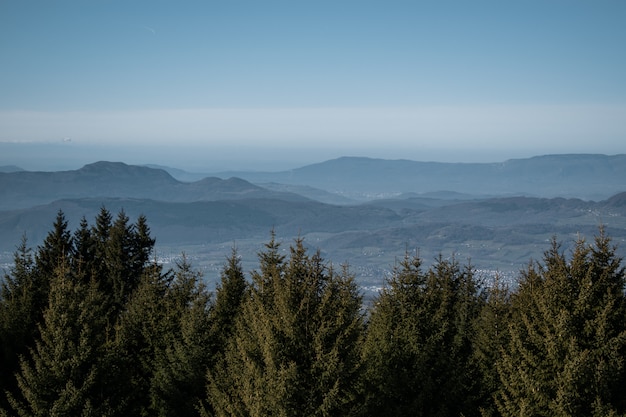 Trees and mountains during daytime