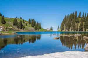 Foto gratuita alberi sulle montagne circondate dal lago lac lioson in svizzera