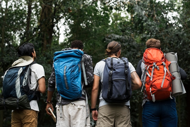 Trekking together in a forest