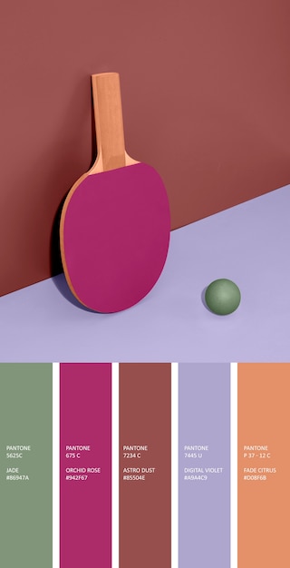 Trendy color swatches with different elements