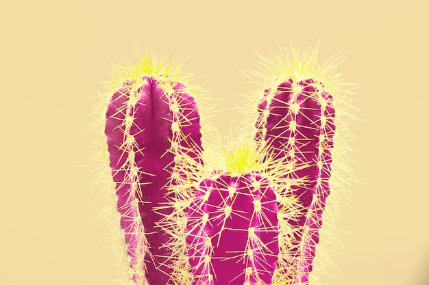 Trendy tropical Neon Cactus plant on Yellow 